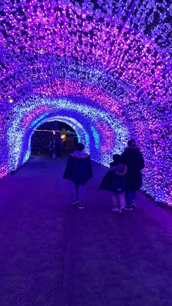 PNE Winter Pair 2024 밴쿠버 크리스마스 축제 : 첫번째 8 PNE Winter Pair (18)