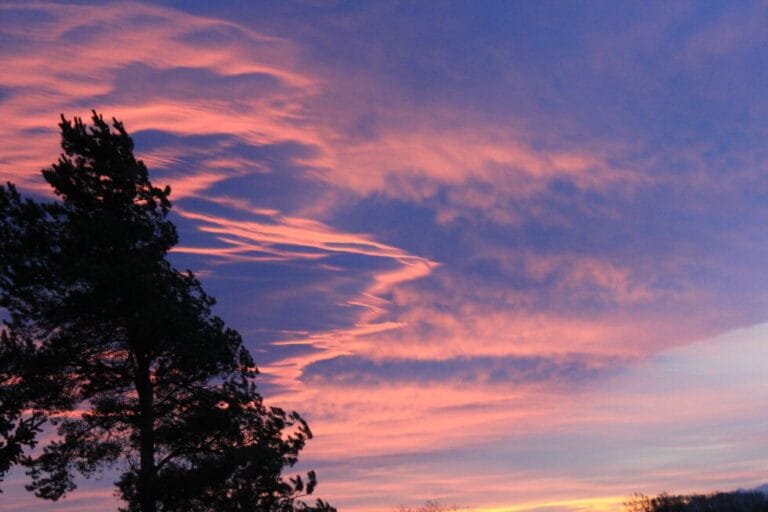 밴쿠버 해돋이 명소 (1)