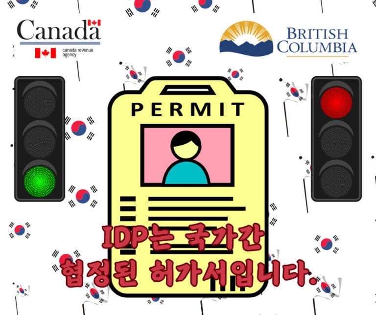 International Driving Permit 