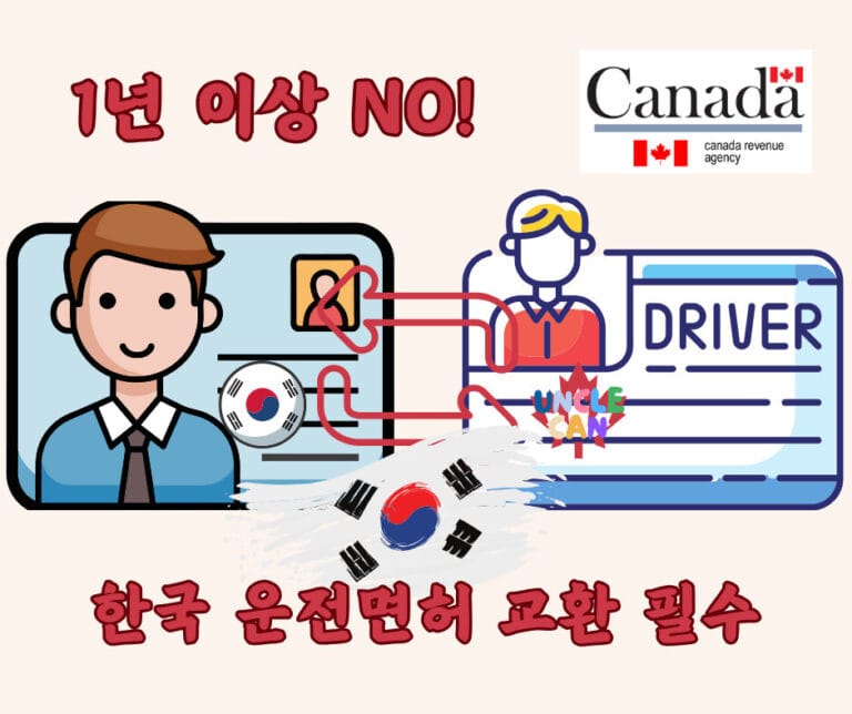 캐나다 국제 운전면허증 