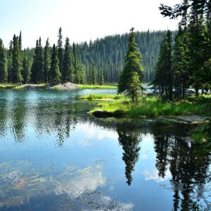 캐나다 밴쿠버 야외 피크닉 장소 추천 베스트 5 4 비버레이크
