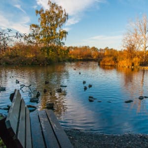 캐나다 밴쿠버 야외 피크닉 장소 추천 베스트 5 7 덕 폰드